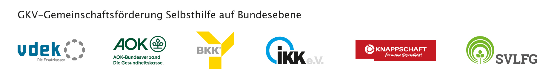 Logo GKV Selbsthilfe Kindernetzwerk